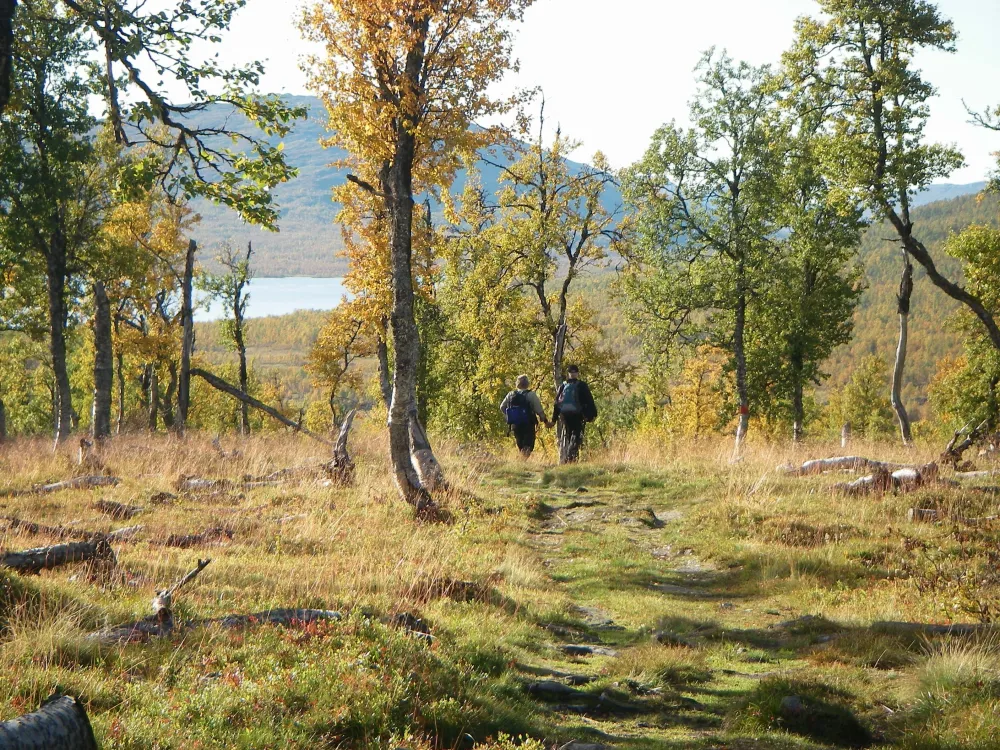 STF Hemavan Mountain station