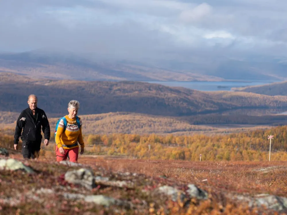 Upplev Kungsleden med guide
