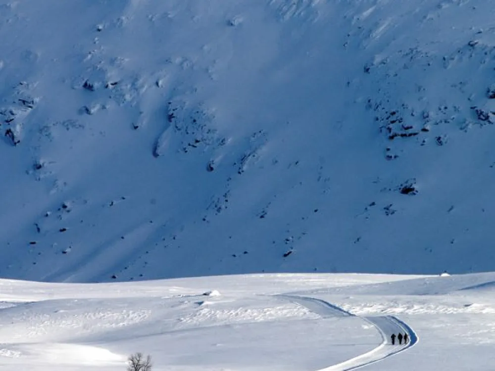 Milspåret i Hemavan