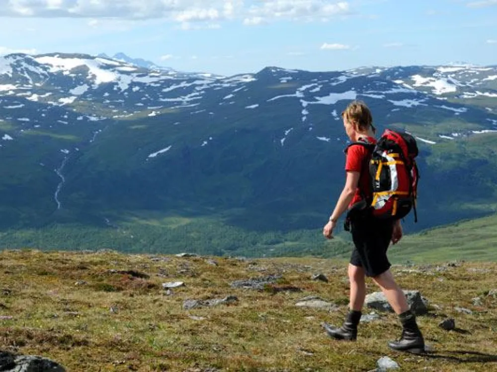 Vandring på Dalåive