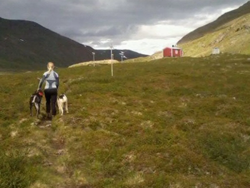 Leden mot Jirestugan