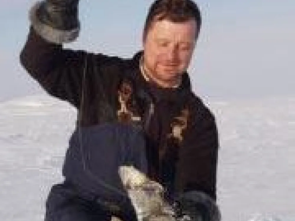 Stig pimplar 