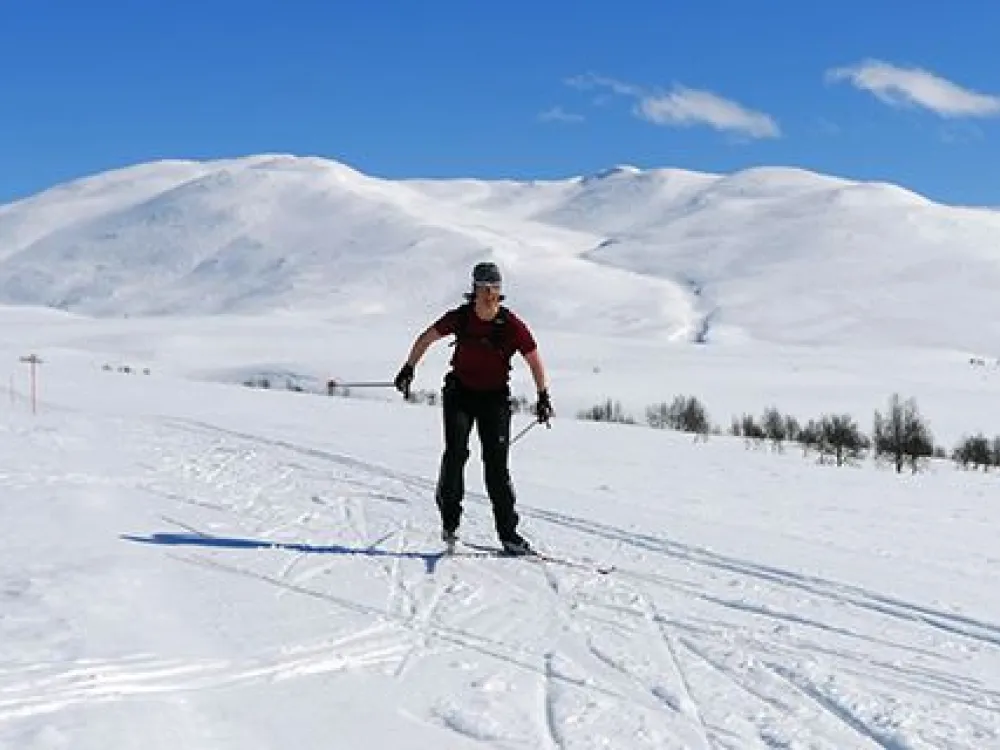 Kobåsspåret i april