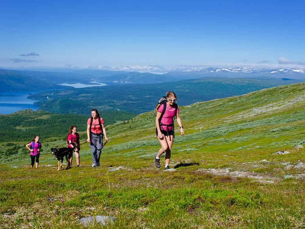 Ryfjället
