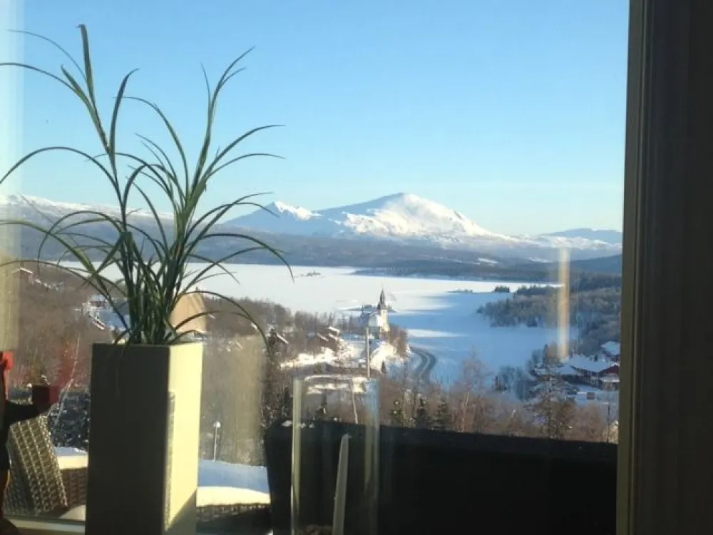 bild 3.JPG