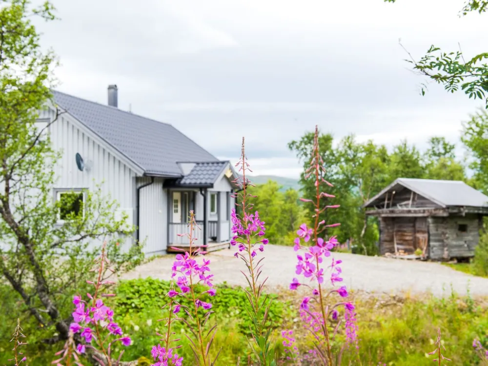 Laisastugan