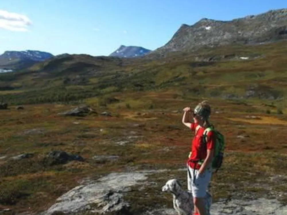 Vy mot Olfjället