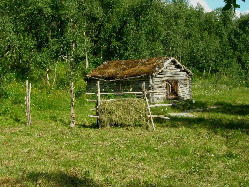Ladan med hässjor