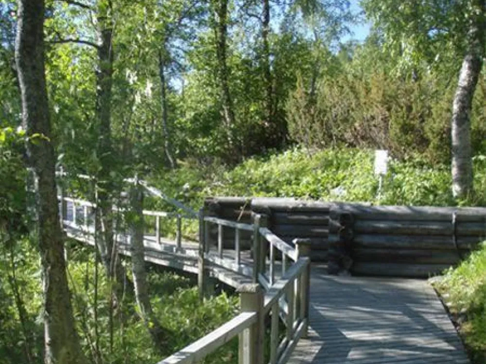 Fjällbotaniska Trädgården
