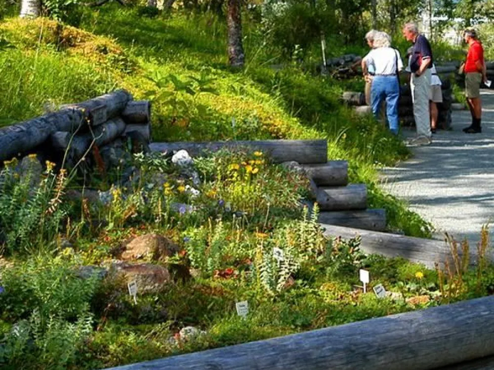 Fjällbotaniska Trädgården 