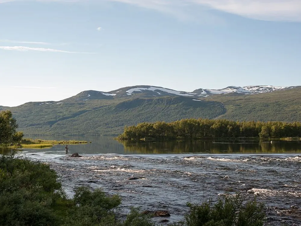 Tärnaleden