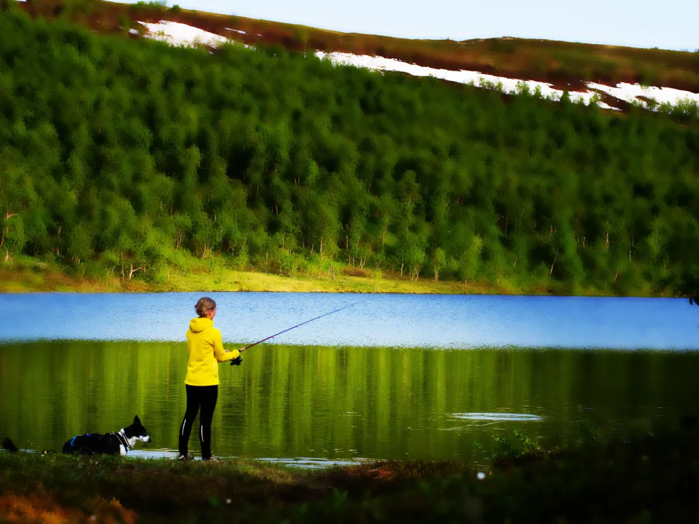 Jofjället