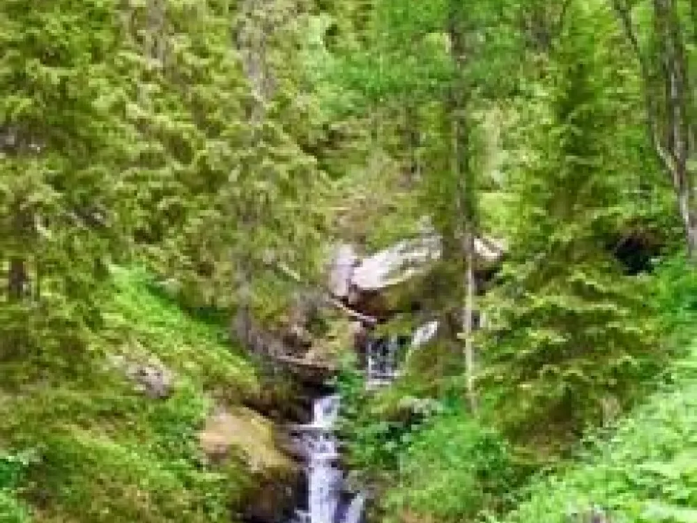 Ryjvejegaejsie/Ryfjället mountain