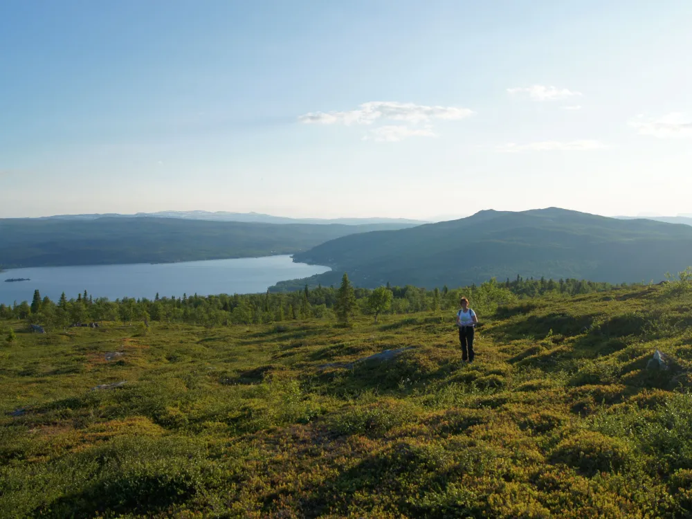 Trail to Gäutavardo mountain