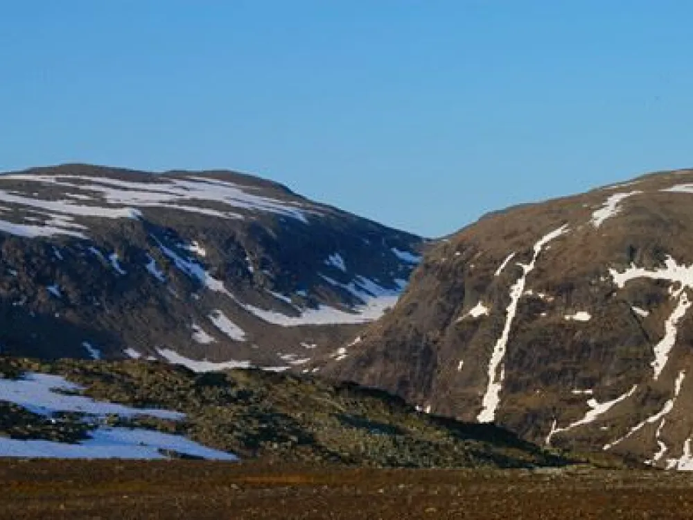 Kobåset