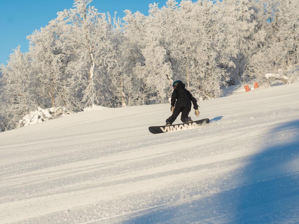 Snowboard Grön