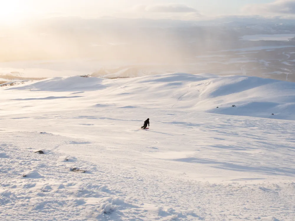 Alpint Skidor, Allmountain Röd