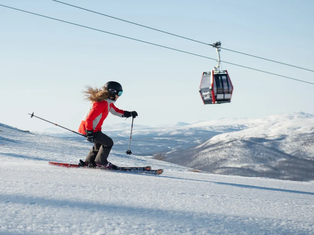 Alpine Ski Package 2, Average