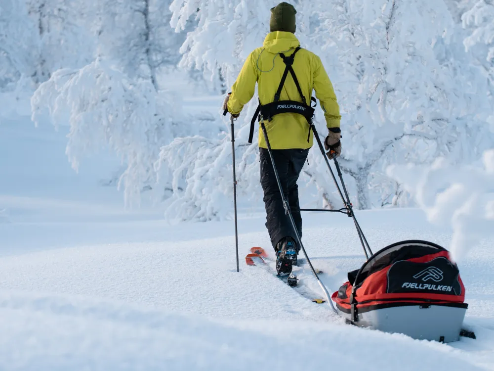Mountain sledding