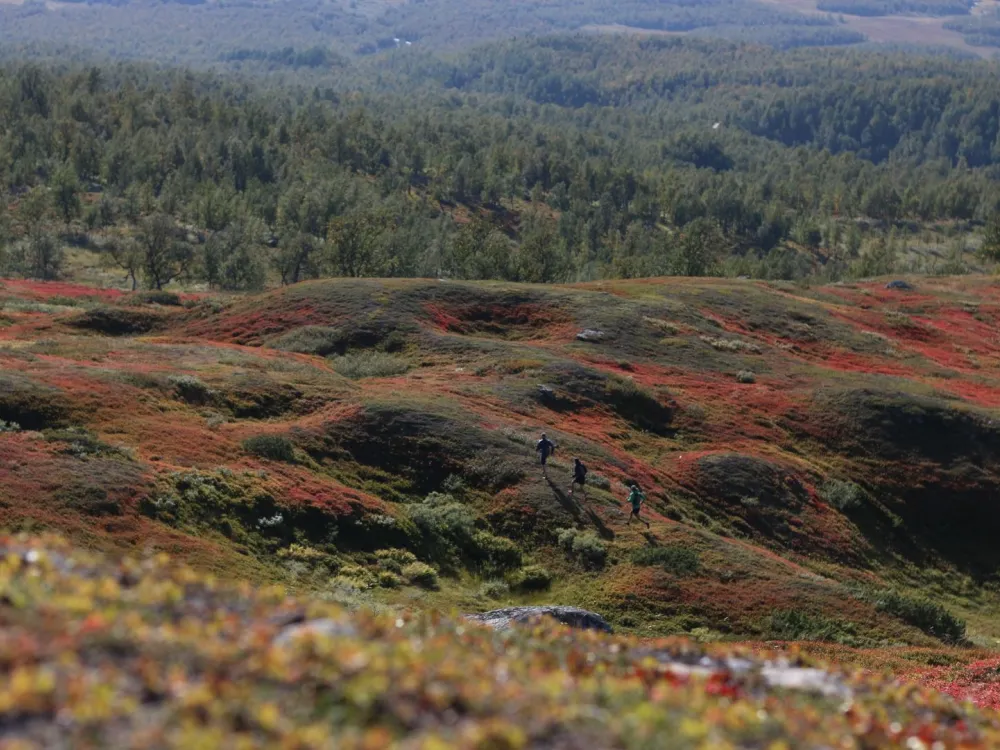 Hemavans Fjällcenter