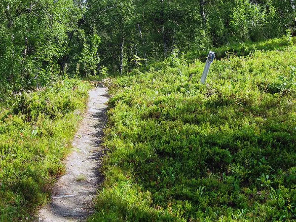 Fångsgropar - stigen