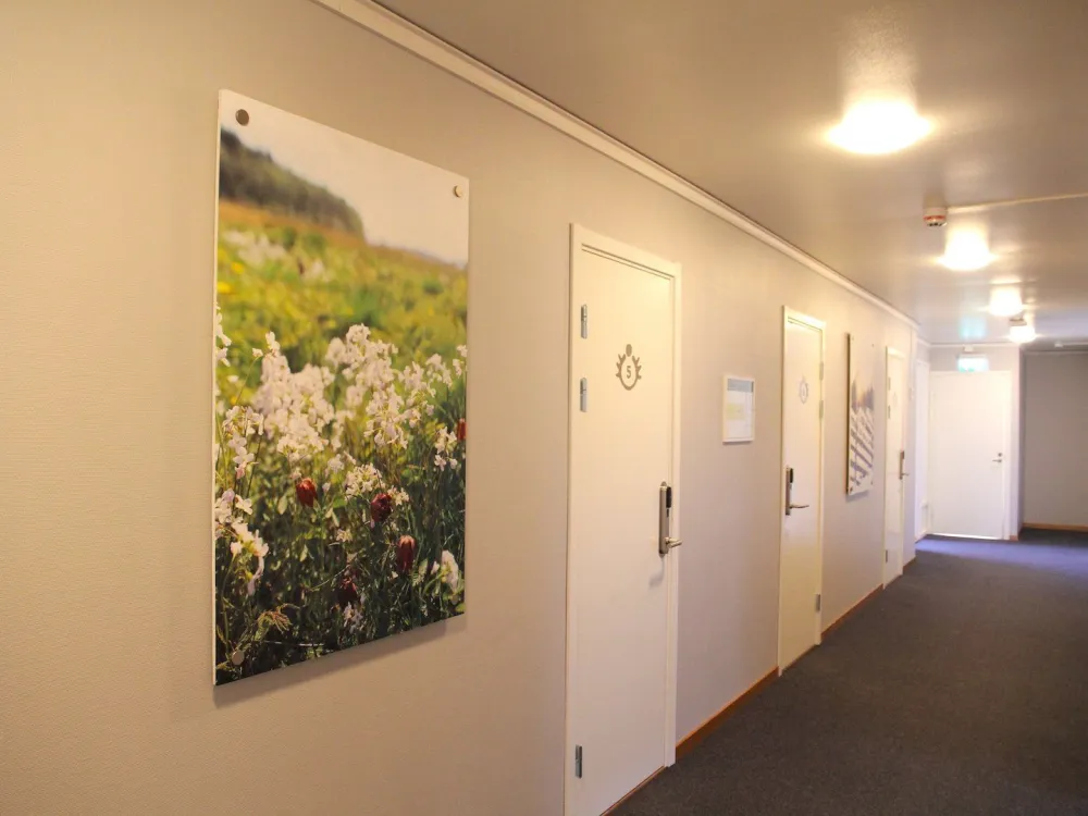 Four-bed dormitory - Hostel