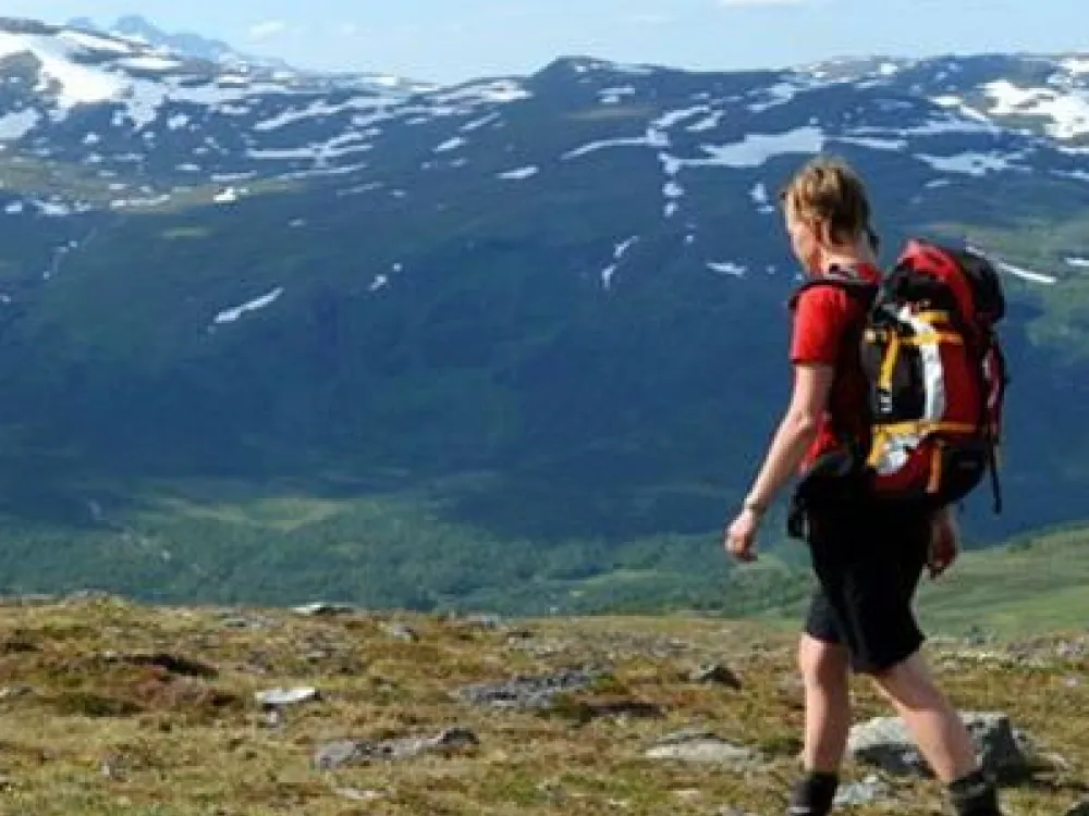 Vandring Dalåive