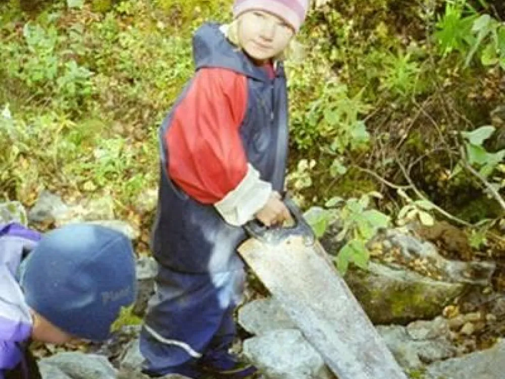 Såga i täljsten
