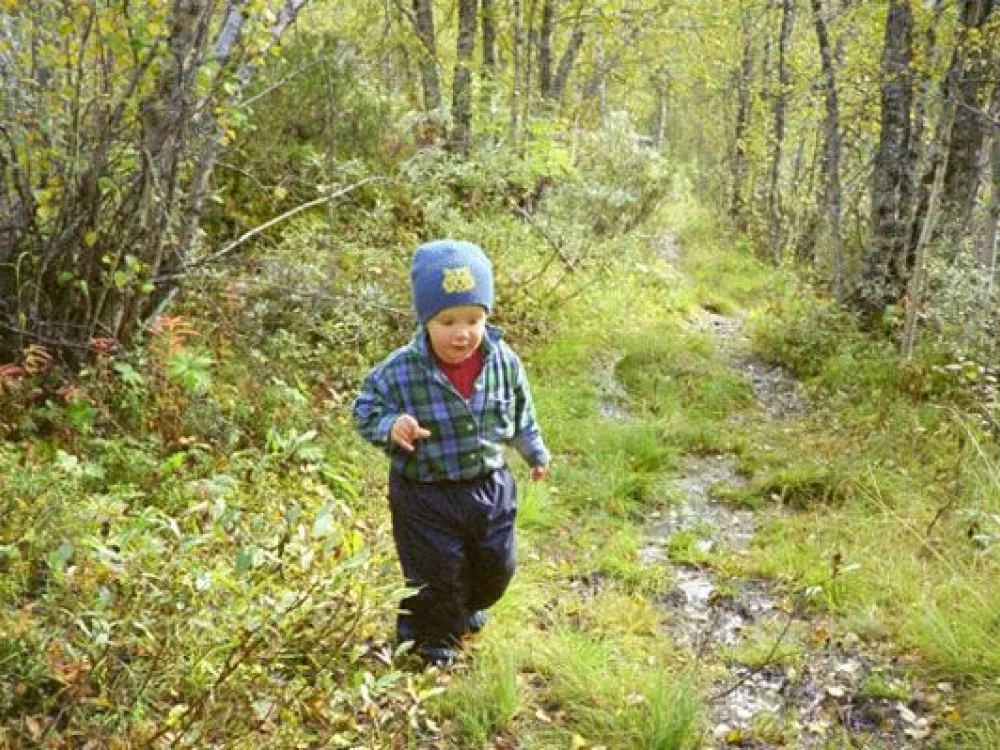 Stigen upp mot Täljstenarna i Laisholm
