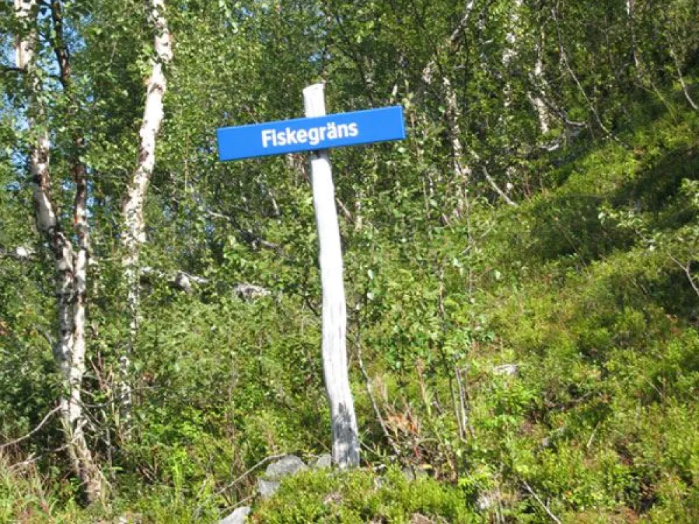 Fiskegräns 