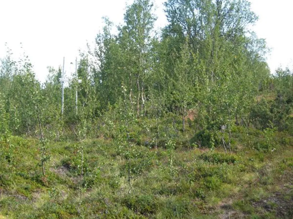 Leden mot Väretsfjället från Biellojaur