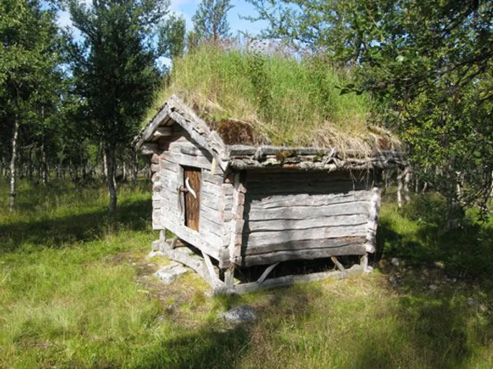 Odenkåtans Njalla