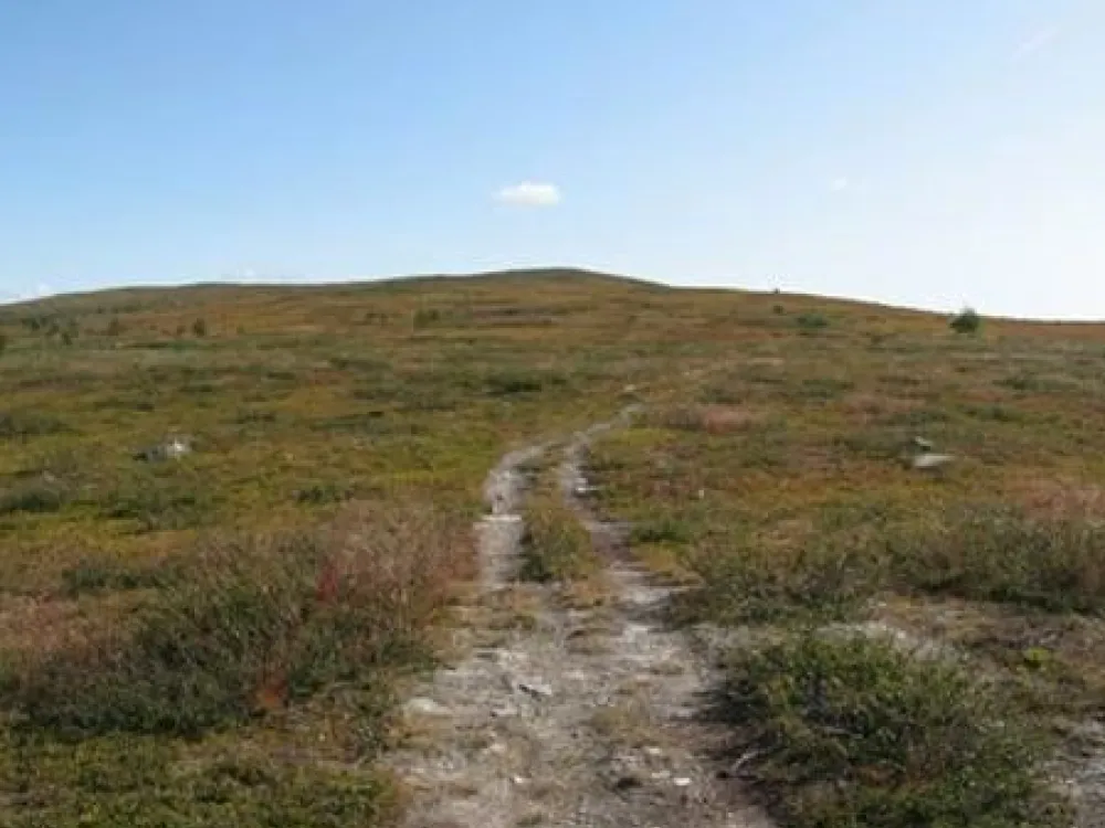 Leden upp på Väretsfjället
