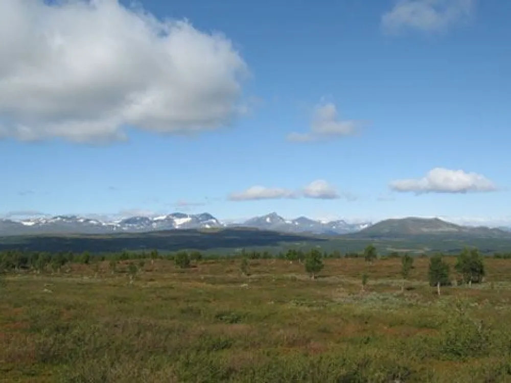 Utsikt från Väretsfjället