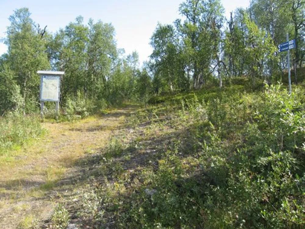 Led mot Biellojaure och Ammarnäs