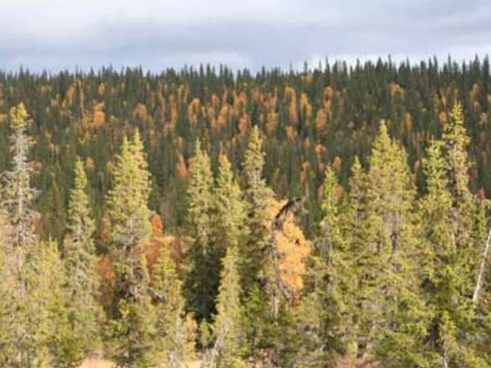 Kirjesålandet