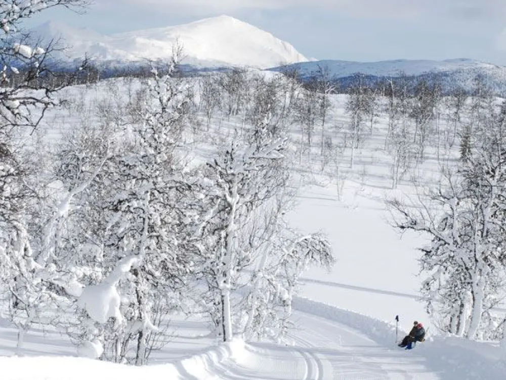 Ängesdalslias fina skidpår