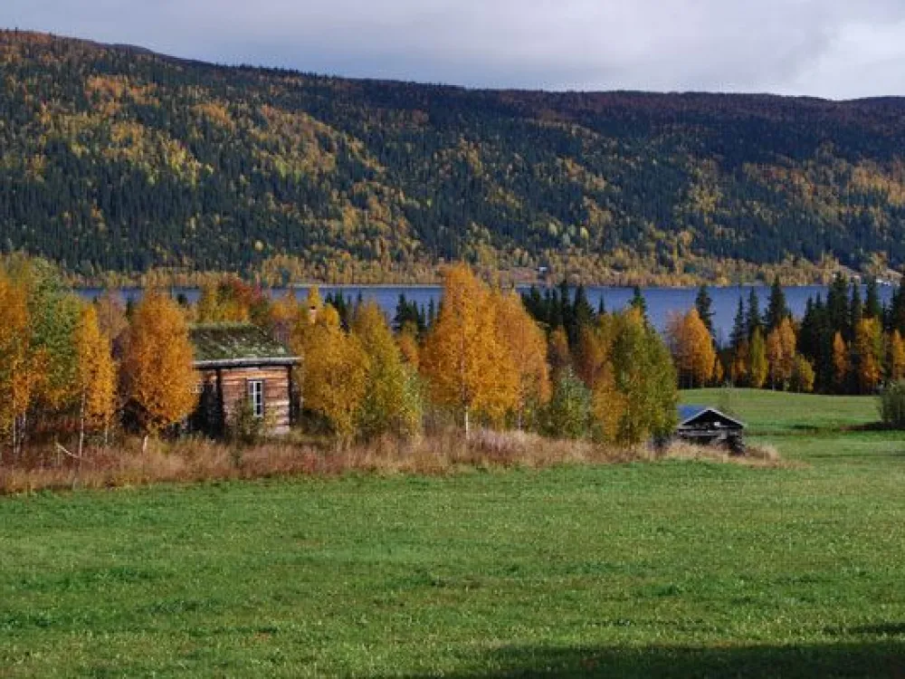 Björkvattnet