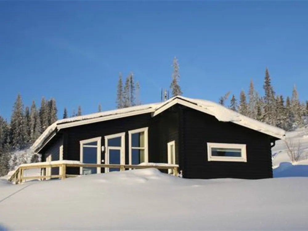 Tärnabyhyllan